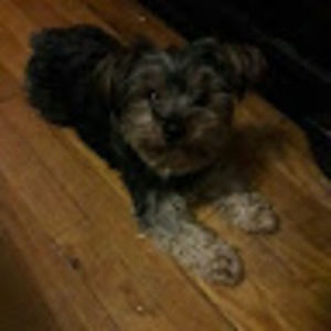 Meet your Posher, Trinette